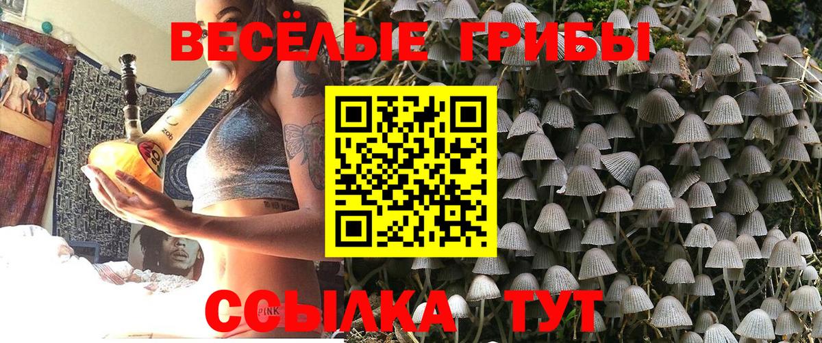 Псилоцибиновые грибы Psilocybine cubensis Подольск