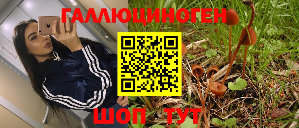 Псилоцибиновые грибы Psilocybine cubensis  Вход с VPN  Галлюциногенные грибы Psilocybine cubensis  Подольск 